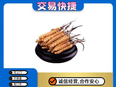 南京市高淳回收冬虫夏草多少钱每克